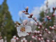 -白水寺森林公园
