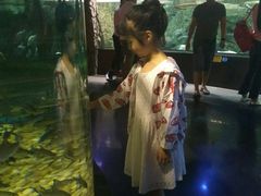 -成都浩海立方海洋公园