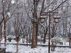 -木塔寺遗址生态公园