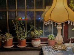 -雅茗轩茶馆·棋牌·茶艺(劳动路西缆店)