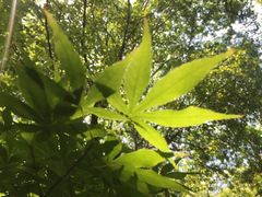 -上海静安宾馆