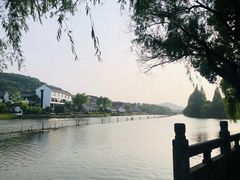 -鲁镇