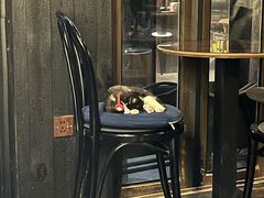 -古耳咖啡(北锣店)