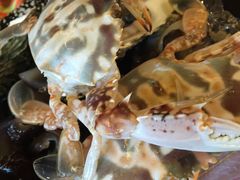 -三亚海韵度假酒店·渔人码头海鲜火锅BBQ自助餐厅·落日吧