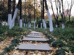 -范蠡湖公园