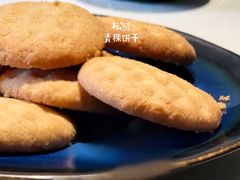 -松赞拉萨林卡酒店