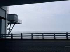 -星海湾跨海大桥