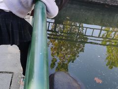 -宿豫区运河湾森林动物园