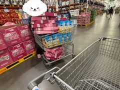 -山姆会员商店(亦庄创意生活广场店)