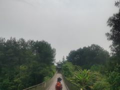 -铁山坪森林公园