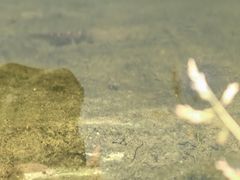 -共青国家森林公园-售票处