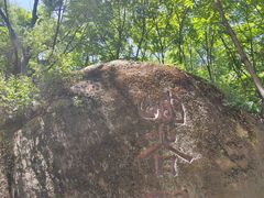 -云岫谷游猎自然风景区