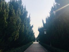 -洛阳市隋唐城遗址植物园