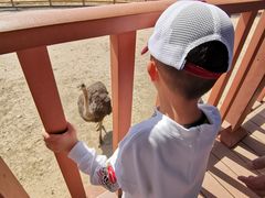 -鄂尔多斯野生动物园