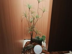 -东莞海德汇一城