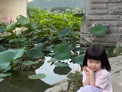 -云龙湖旅游景区