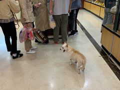-长发西饼(临顿路店)