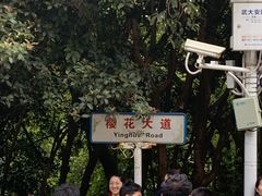 -武汉大学-樱园