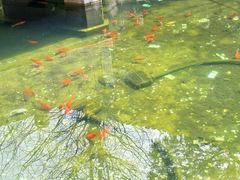 -普陀山慧济禅寺