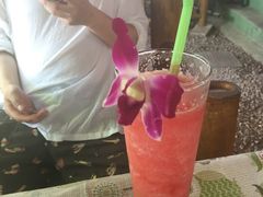 -Jungle Kitchen