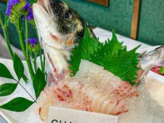 -喜聚薈·花膠雞海鮮火鍋(越秀店)