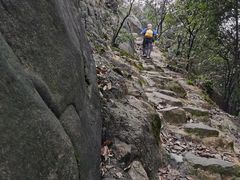 -南山植物园