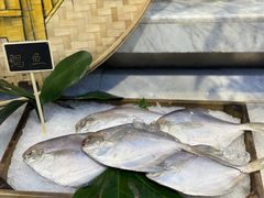 -川骄海鲜自助(河东店)