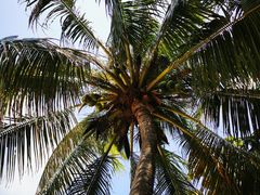 -三亚海棠湾万丽度假酒店