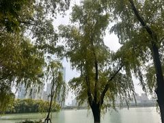 -天鹅湖体育公园