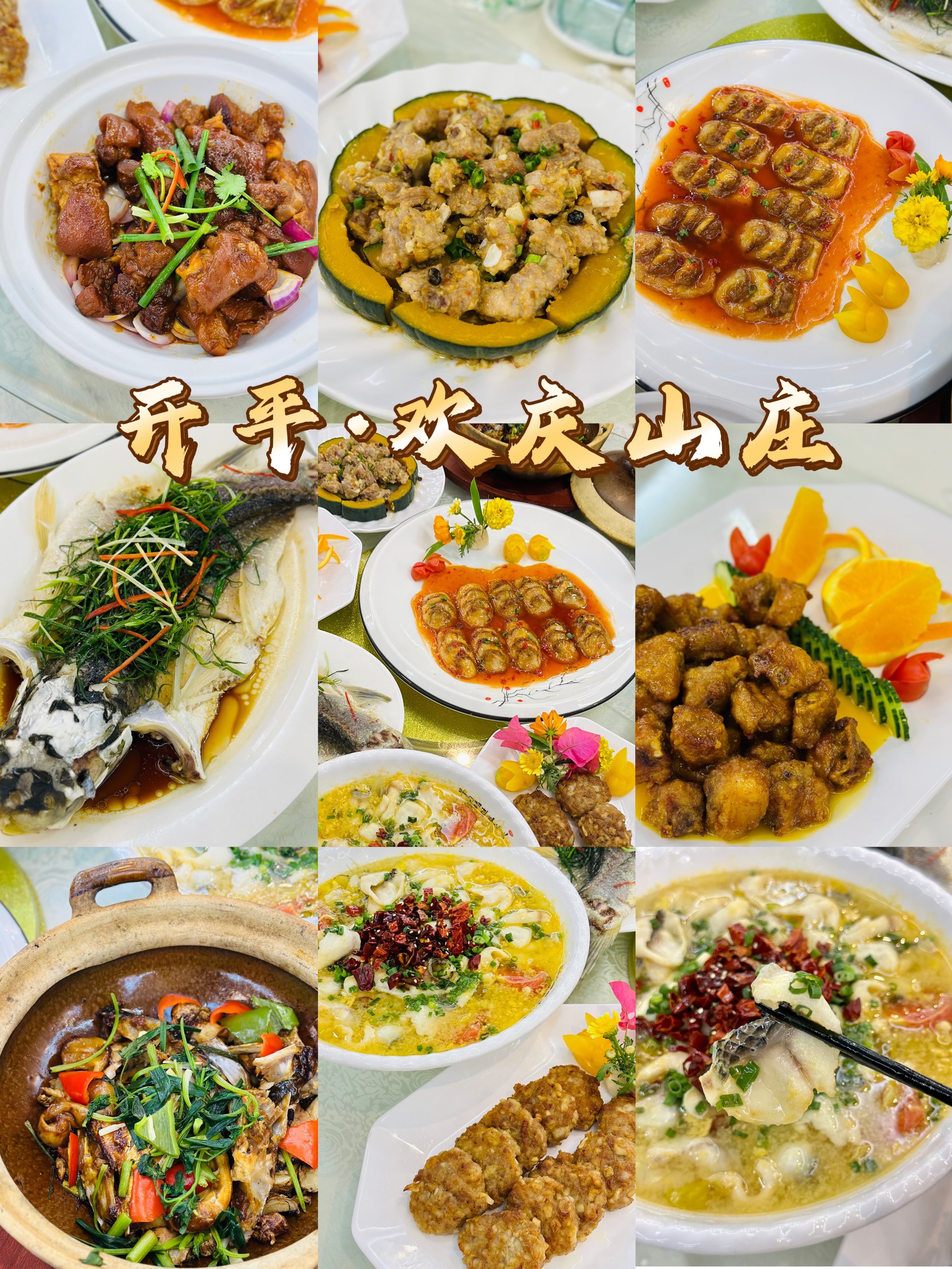 江门市云顶山庄美食图片