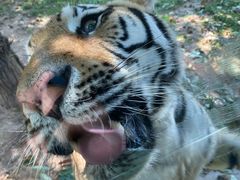 -西安秦岭野生动物园