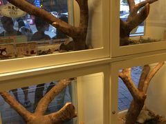 -龙猫仔乐园(惠福东路店)