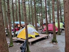 -重庆睡佛山森林公园