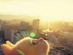 -新港湾大酒店-西餐厅