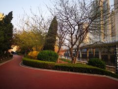 -马栏河运动公园