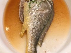 清蒸深海大黄鱼-阿莉餐厅(枣阳路店)