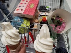 -盒马X会员店(上海森兰商都店)