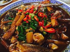 -张鸟园农家乐(张鸟园店)