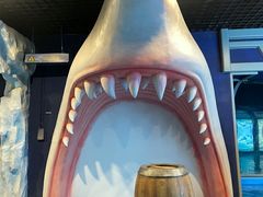 -石家庄极地海洋世界