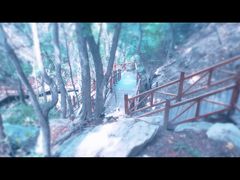 -大岭沟猕猴桃谷风景区