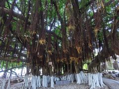-胡里山炮台