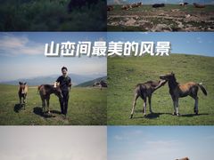-灵山