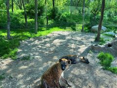 -北京野生动物园