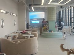 -怪兽屋·羊驼·猫咖·狗咖(俊华广场店)