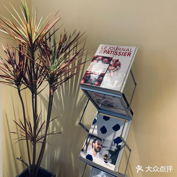 天津探店·法式甜品🍮✖️韩国🇰🇷ins风