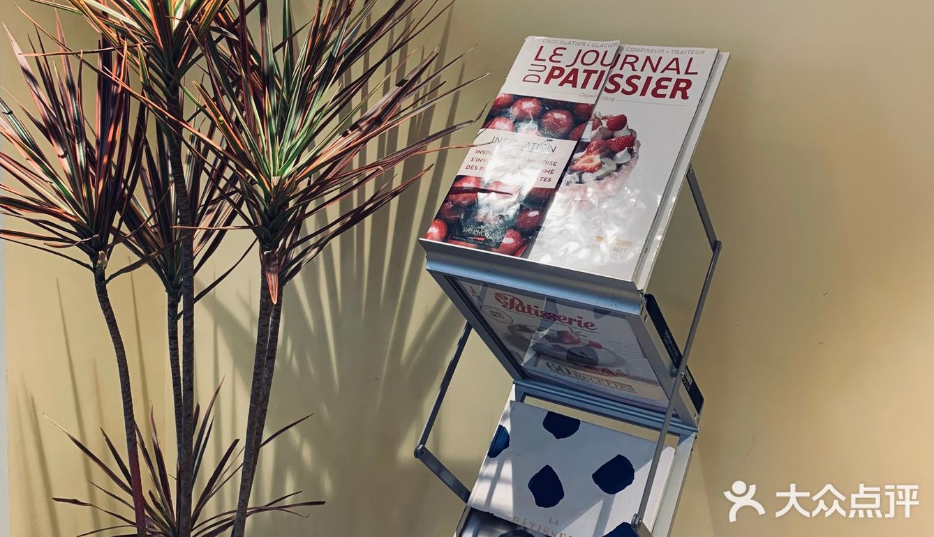 天津探店·法式甜品🍮✖️韩国🇰🇷ins风