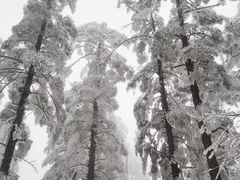 -瓦屋山景区