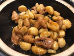 -乡亲鹅肉城(吴江店)