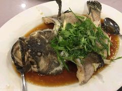 龙虎斑雨汤-伍月花酒楼