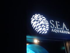 -新加坡海洋生态馆